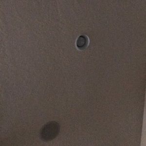 Meet your Posher, Carter